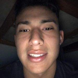 Meet your Posher, Leonardo